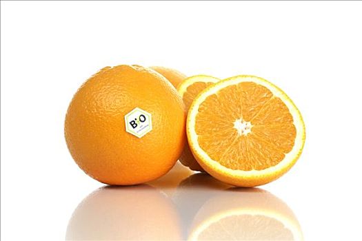 生物学,橘子