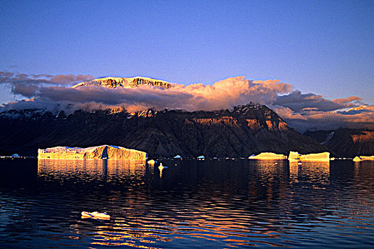 冰山,沭浴,秋天,夜光,岛屿,峡湾,东方,格陵兰