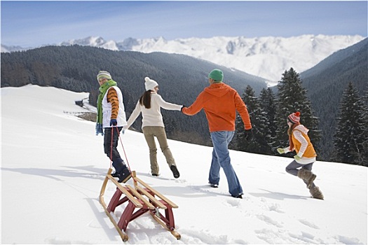 家庭,拉拽,雪撬,向上,山顶,滑雪坡