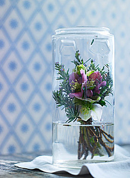 花,菟葵,玻璃,罐