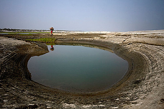 风景,旁边,河,孟加拉,十二月,2009年