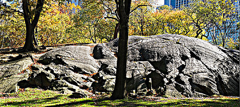 花冈岩,岩层,公园,中央公园,曼哈顿,纽约,美国