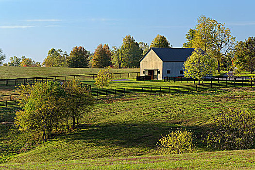 谷仓,农场,日出,莓系属牧草,区域,靠近,莱克星顿,肯塔基