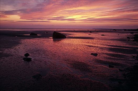 日落,上方,泥滩,特纳甘湾,夏天