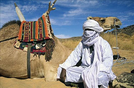 柏柏尔人,男人,坐,旁侧,骆驼,利比亚,北非