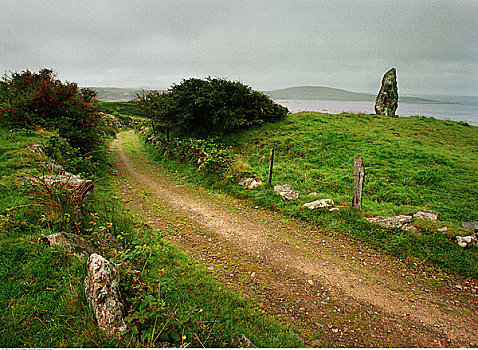 乡间小路,海岸,爱尔兰