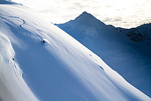 男人,边远地区,滑雪,粉状雪,狼獾,器具,科奈山地,阿拉斯加,冬天
