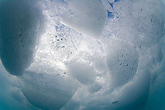 水下视角,冰山,冰河,小湾,冰河湾国家公园,东南阿拉斯加,夏天