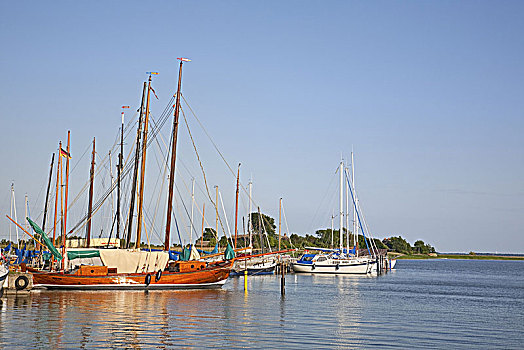 帆船,波罗的海,水疗,半岛,费施兰德-达斯-茨因斯特,梅克伦堡前波莫瑞州,德国