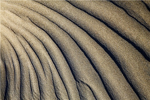 抽象,纹理,干燥,沙子