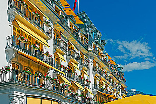酒店,蒙特勒,瑞士,欧洲