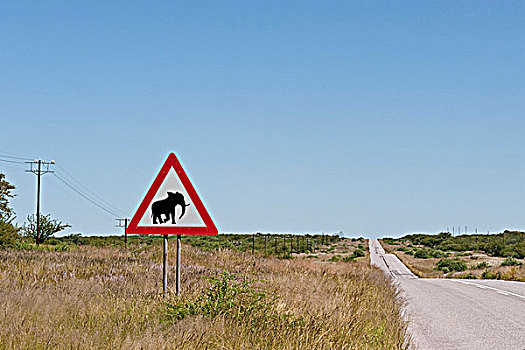 交通标志,警告,穿过,纳米比亚