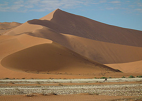 非洲纳米比亚风景