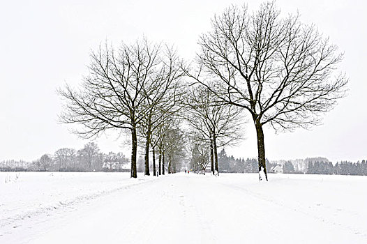 积雪,道路