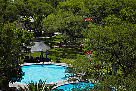 游泳池,休息,露营,埃托沙国家公园,纳米比亚,非洲