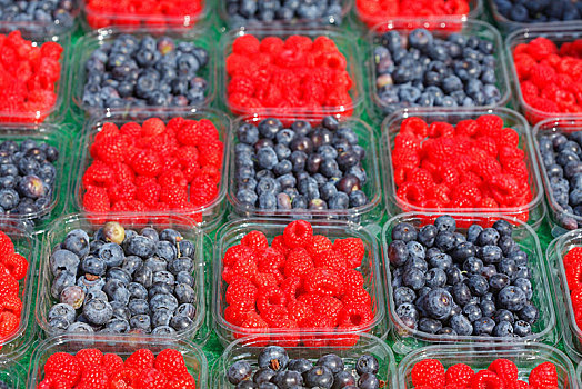新鲜,蓝莓,树莓,托盘,市场货摊,不莱梅,德国,欧洲