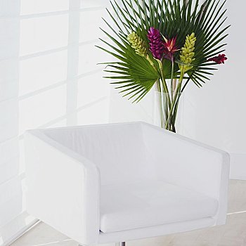 扶手椅,盆栽植物,房间