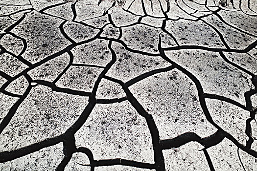 缝隙,泥,表面,地面,乔贝国家公园,博茨瓦纳