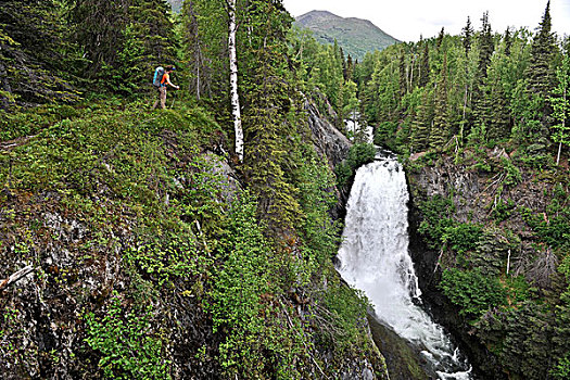 女人,远足,靠近,瀑布,小路,楚加奇国家森林,阿拉斯加,夏天