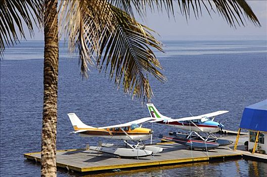 水,飞机,浮筒,桥,漂浮,里奥内格罗,河,巴西