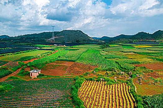 田园乡村