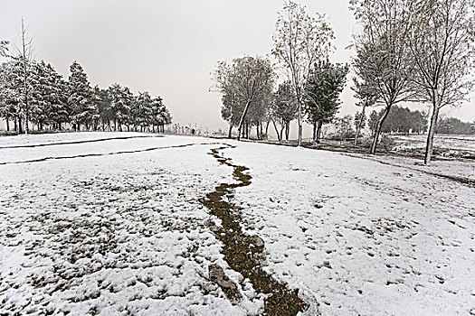 雪地,小路