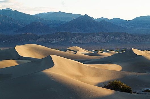 马斯奎特沙丘,山脉,早晨,死亡谷国家公园,莫哈维沙漠,加利福尼亚,美国,北美