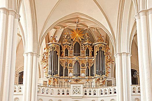 琴乐器,教堂,柏林,德国,欧洲