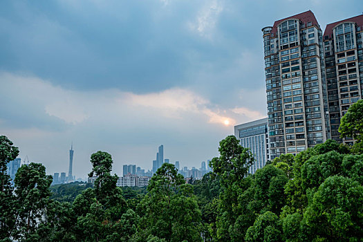 羊城广州夏天落日的云层与绿树和谐美景