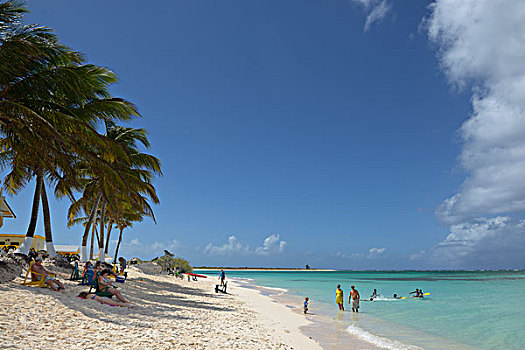 加勒比,英属维京群岛,游泳,白沙,海滩,母牛,残骸,胜地,大幅,尺寸