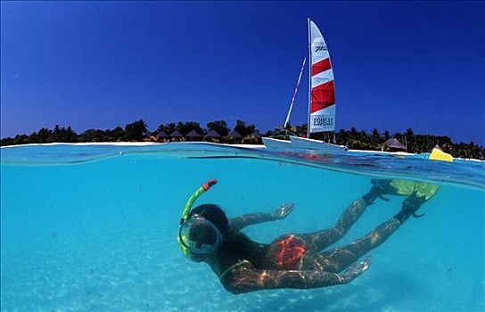 潜水,女人,靠近,马尔代夫,岛屿,古丽都岛