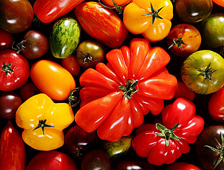 大,品种,不同,新鲜,西红柿