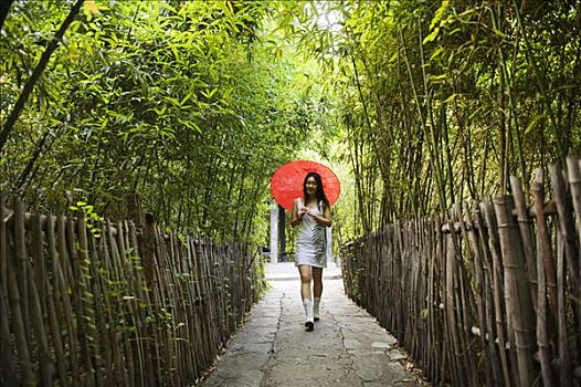 中国,北京,少数民族,公园,女孩,伞,走,竹林