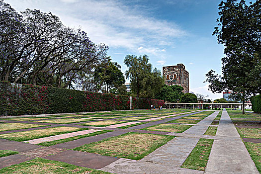 墨西哥国立自治大学