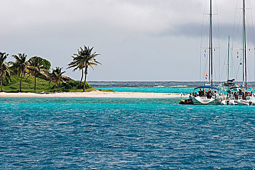 游艇,锚定,岛屿,多巴哥岛,圣徒