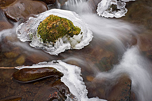 漂石,彩虹,溪流,围绕,冰,楚加奇州立公园,阿拉斯加,冬天