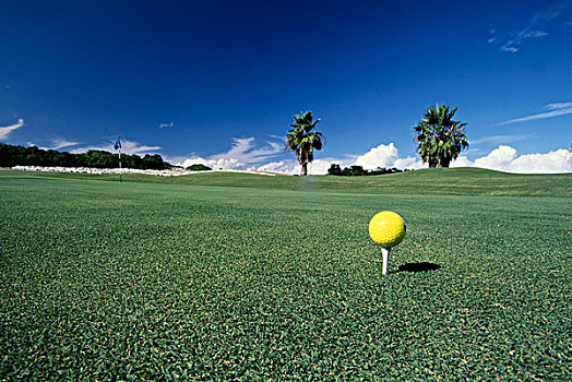 高尔夫,乡村俱乐部,普罗维登西亚莱斯岛,特克斯和凯科斯群岛