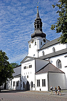 大教堂,塔林,爱沙尼亚,波罗的海国家,北欧