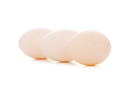 蛋,隔绝,白色