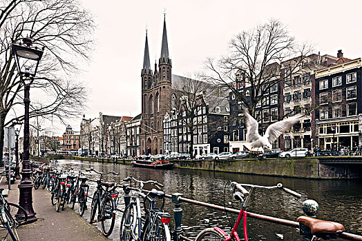 氛围,城市风光,阿姆斯特丹,荷兰