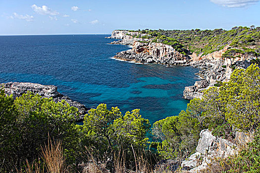 岩石,海岸,靠近,帽,自然,自然保护区,马略卡岛,巴利阿里群岛,西班牙,地中海,欧洲