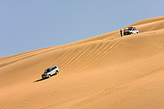 吉普车,利比亚,撒哈拉沙漠,马,北非,非洲