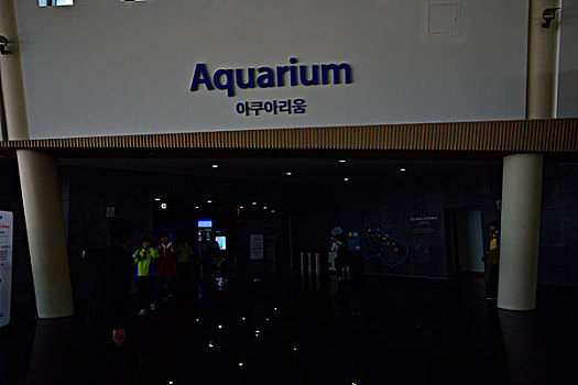 海洋水族馆