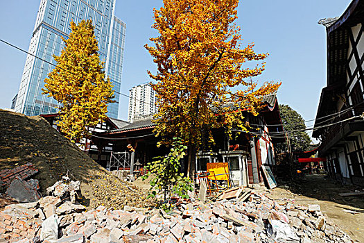 成都大慈寺,佛教寺庙