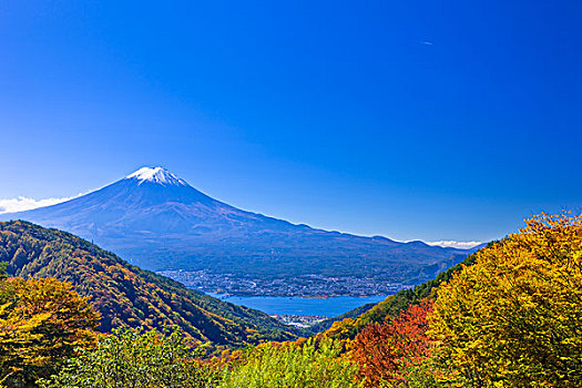 山,富士山,秋叶