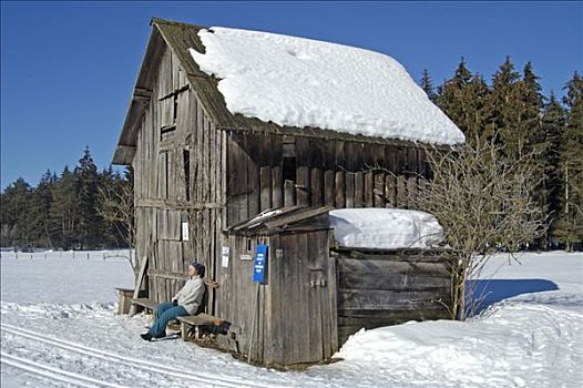 老,小屋,越野滑雪,中心,坏,施蒂里亚,奥地利