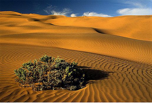 沙丘,山峦,纳米比亚