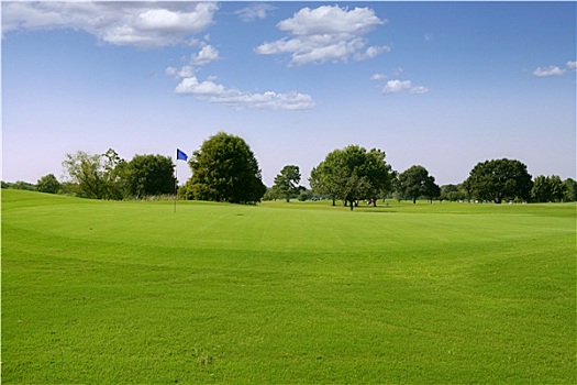 绿色,高尔夫,草,风景,德克萨斯