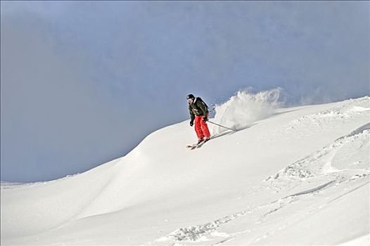 厚雪,滑雪者,自由滑行者,提洛尔,奥地利,欧洲