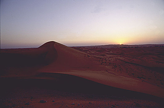 日落,上方,沙漠